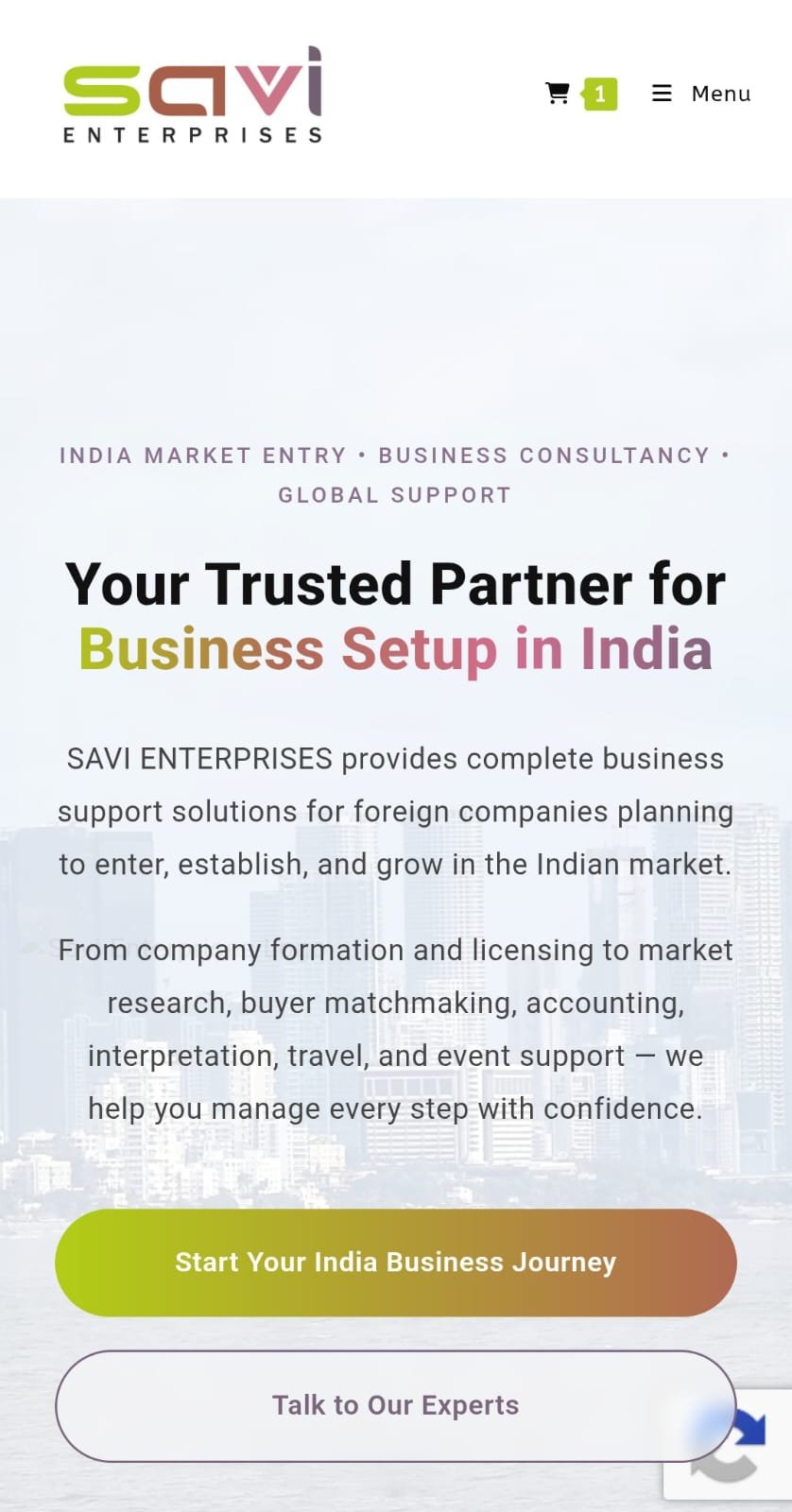 SAVI Enterprises website screenshot